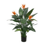 Ave del Paraiso 188cm