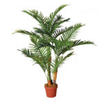 Palmera 180 cms
