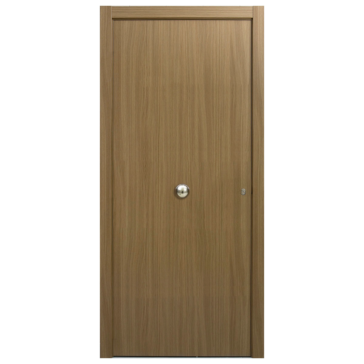 430€ puerta exterior en aluminio lacado blanco