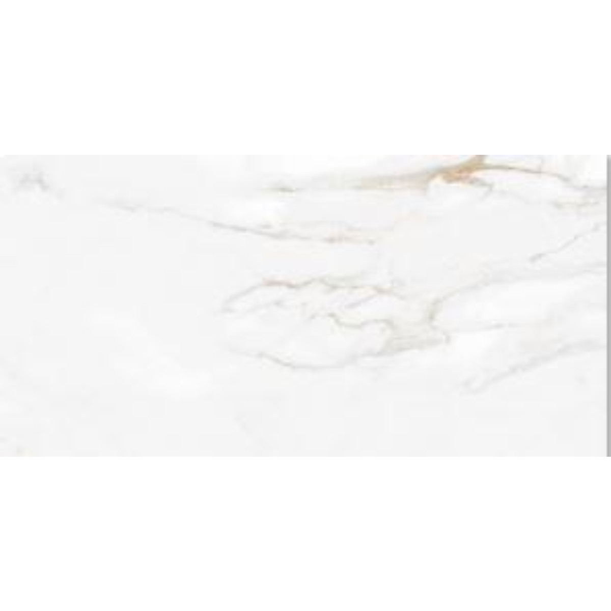 estatuario gold mate 59x120 (2)