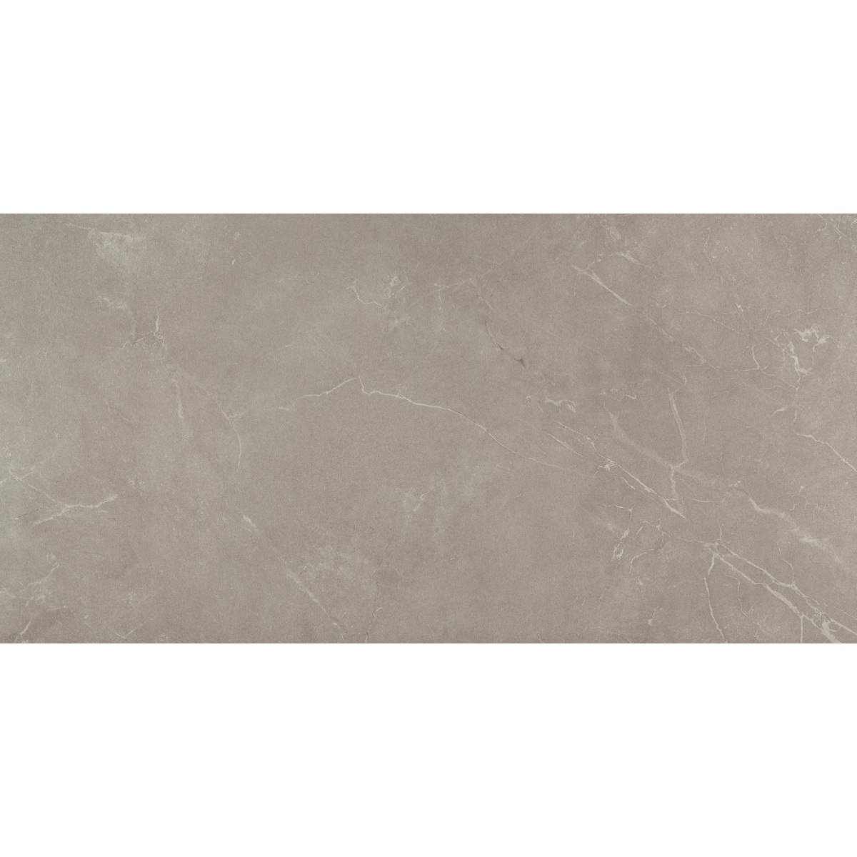 lithos gris mate 60x120