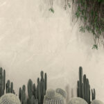 Beige stone wall with vertical cracks; foreground shows tall cacti and cluster of round cacti at bottom, with trailing green vines at the top right.