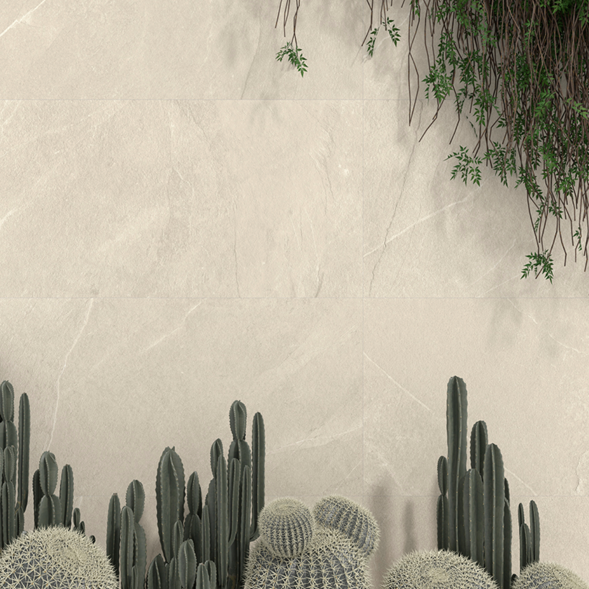azulejos-imitacion-piedra Beige textured wall with a cluster of cacti at the bottom and hanging vines on the upper right.